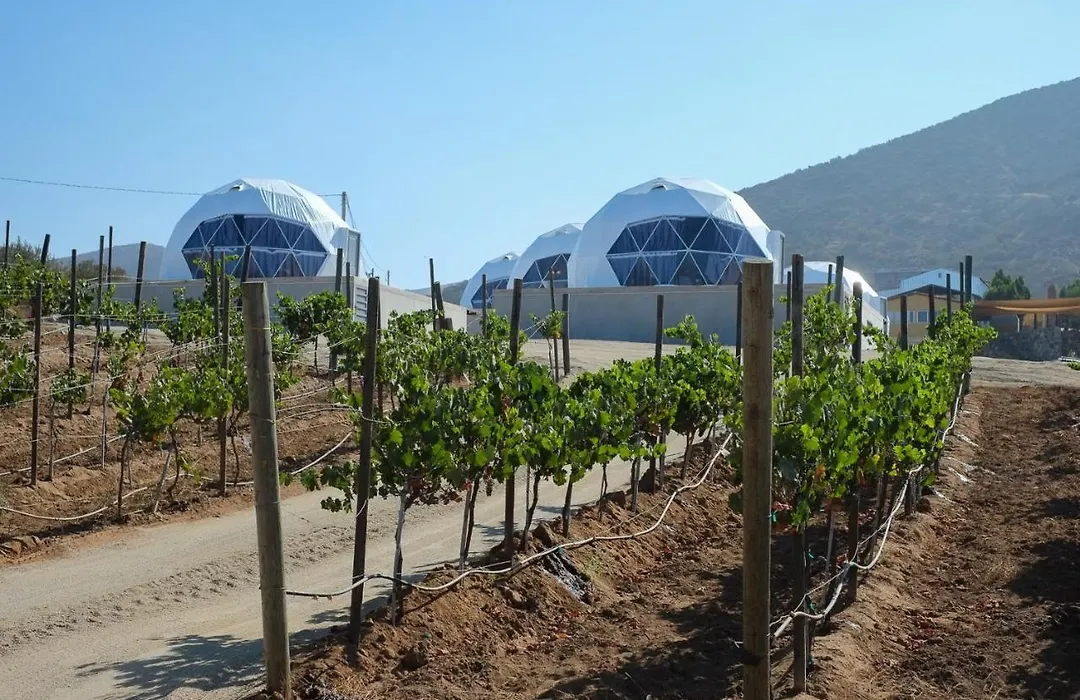 Cúpulas Del Valle by Villa De La Rosa-1
